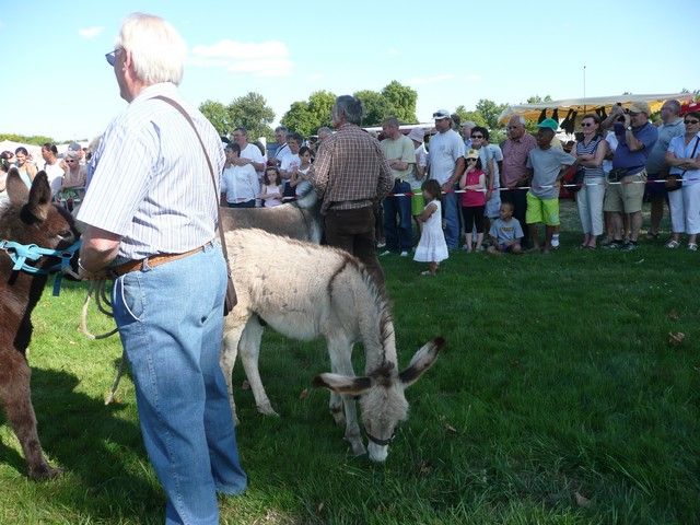 dimanche (353).jpg